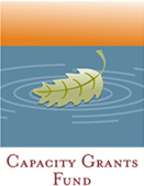 Capacity_Grants_Funds_Icon
