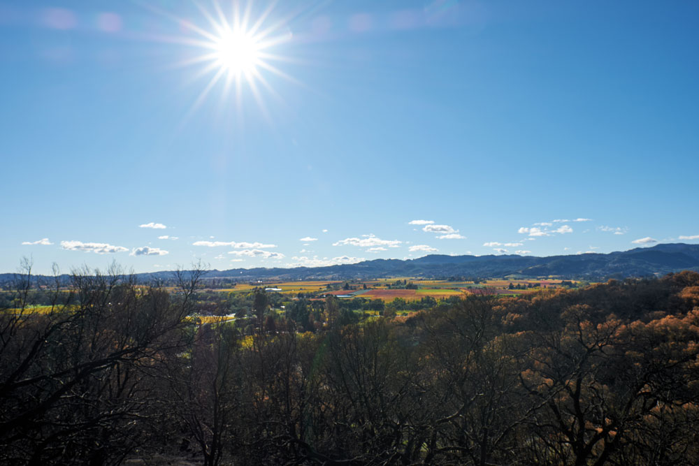 A photo depicting the Napa Valley horizon.