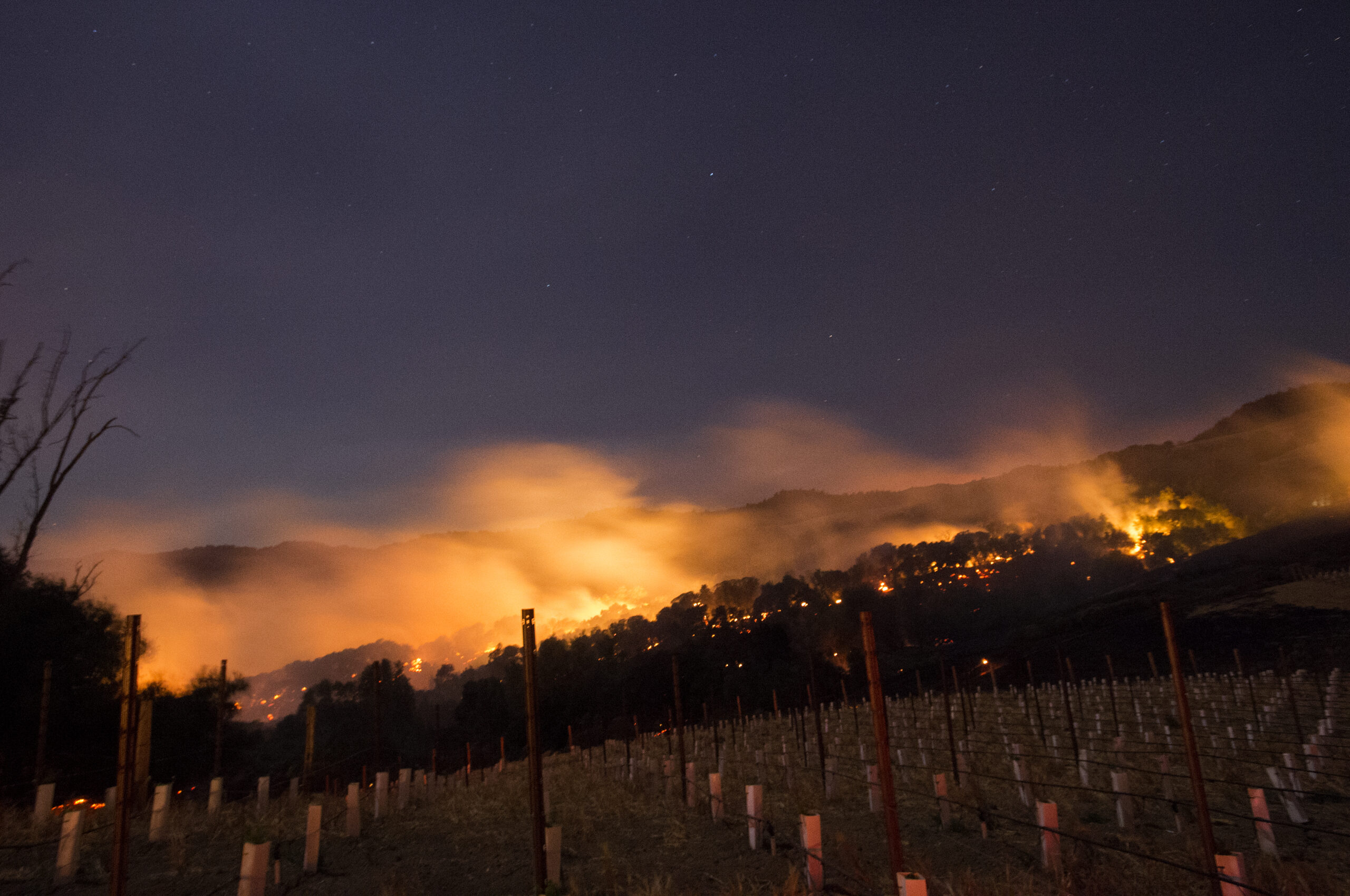 An image depicting a Napa wildfire that is past a line of trees, spreading.