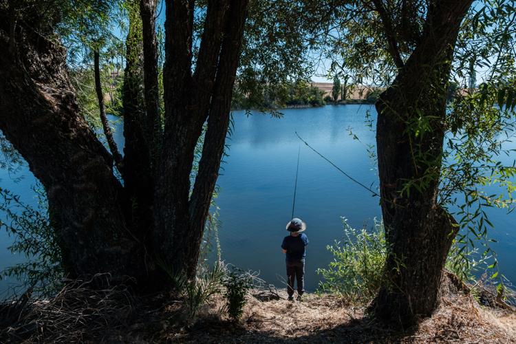 boy fishing in di Rosa pond