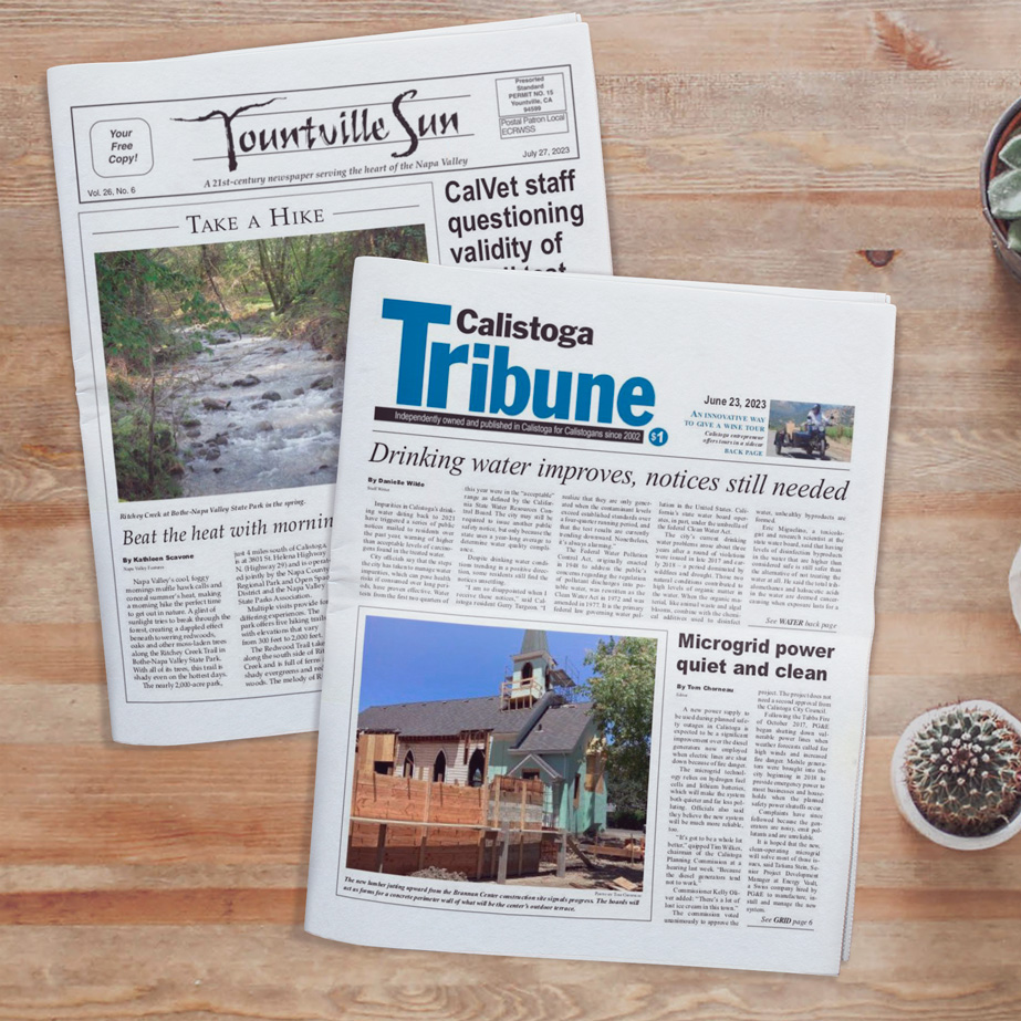 Reimagining Local Journalism: Highway 29 Media’s Quest to Preserve Community News