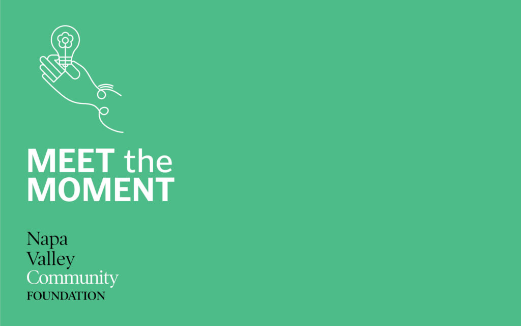 An illustrated drawing of a hand holding a lightbulb, on a green background. Text reads: MEET the MOMENT