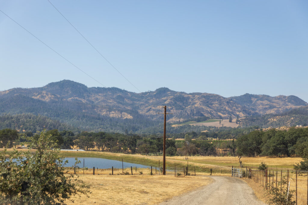 A rural landscape with a dirt road leading towards mountains under a clear blue sky. Fields of dry grass and trees border the road, and a lake is visible on the left. A wooden fence, reminiscent of the scenic Napa Valley Community Foundation views, runs alongside the road.