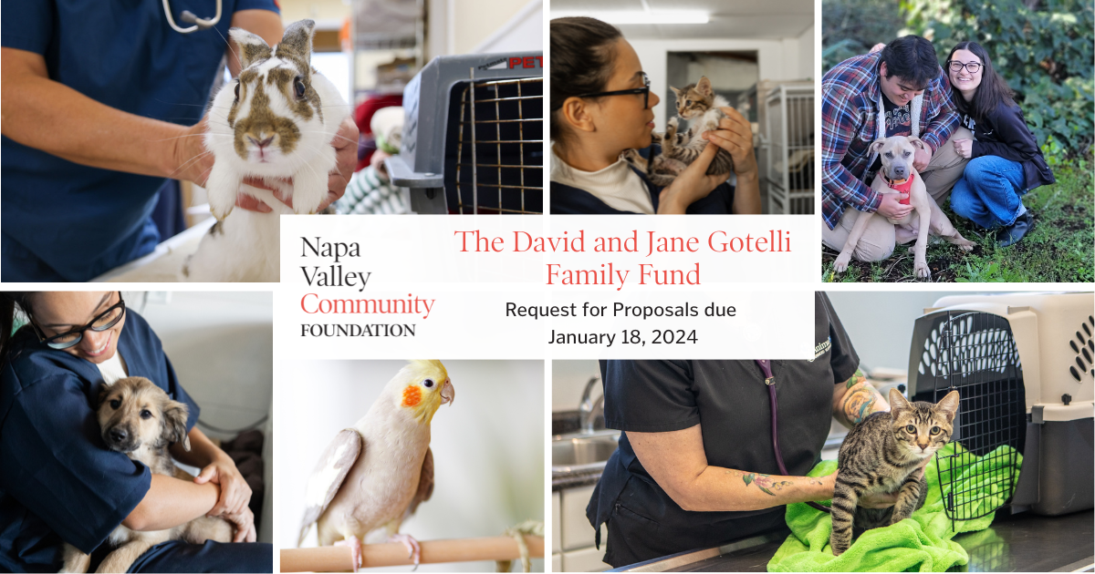 The Legacy of Compassion Continues: NVCF Seeks Grant Proposals for The David and Jane Gotelli Family Fund