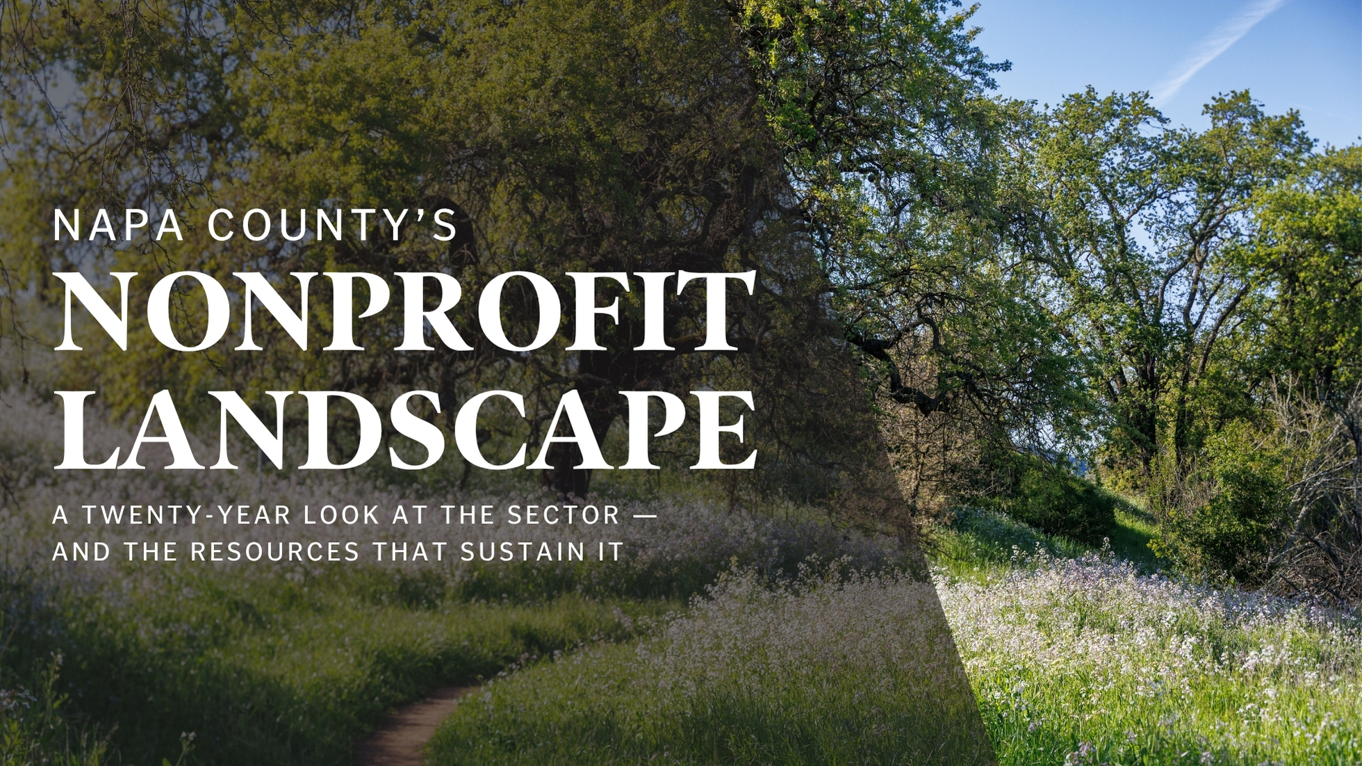 We haven’t done this since 2003 (our new study on how Napa’s charitable sector has changed)