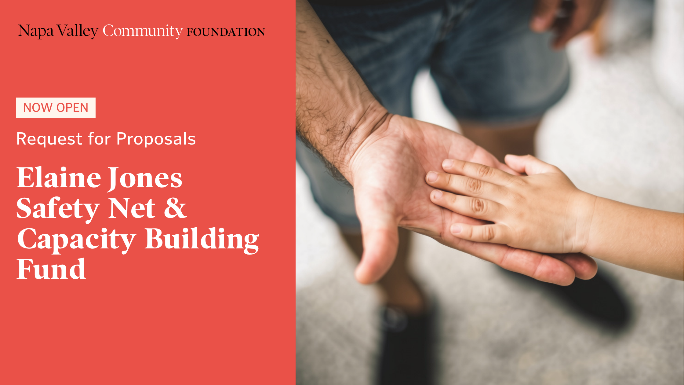 Napa Valley Community Foundation Request for Proposals for the Elaine Jones Safety Net & Capacity Building Fund, shown over an image of an adults hand holding a childs hand.